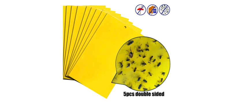 Aphid and Flies Yellow Trap