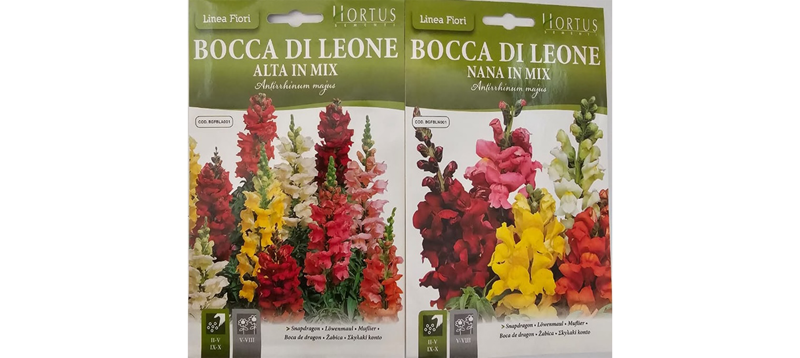 Bocca Di Leone Flower Seeds