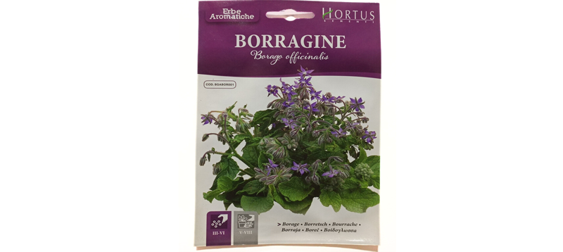 Borragine Flower Seeds