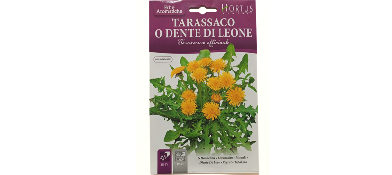 Dandelion Flower Seeds