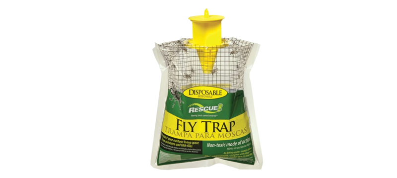 Fly Traps – Europe