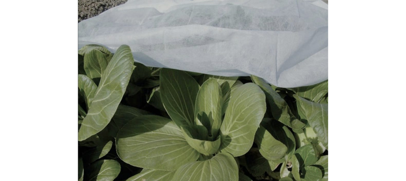 Non Woven Protection- Italy