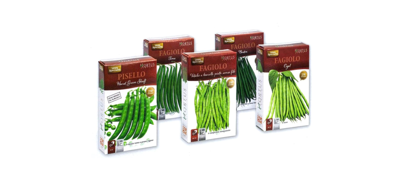 Pea Seeds