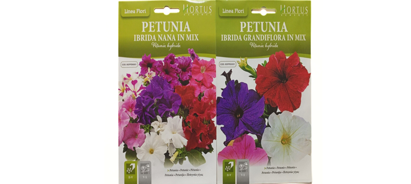Petunia Flower Seeds