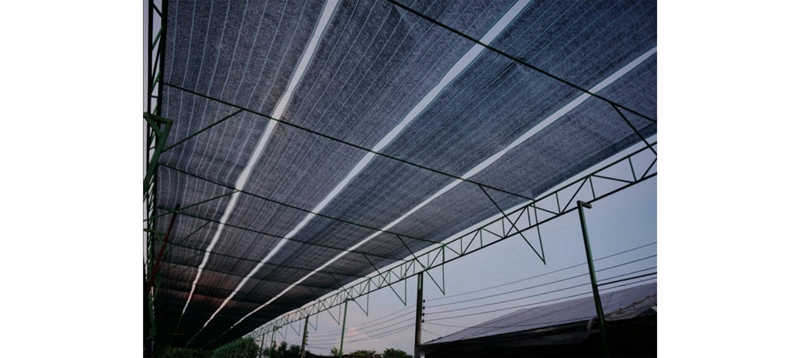 Shading Net- Italy