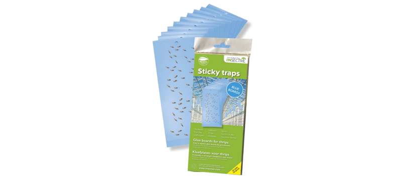 Thrips and Leafminer Blue Traps