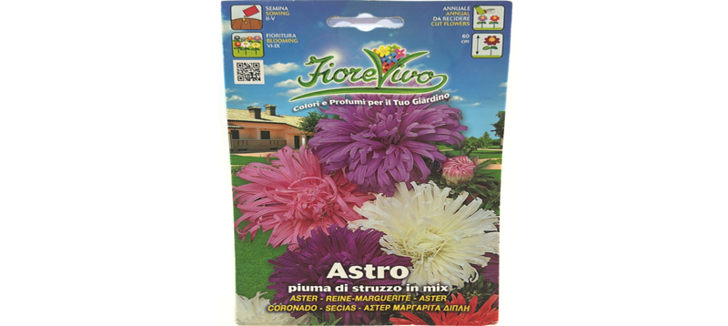 Astro Piuma di Struzzo in Mix Seeds