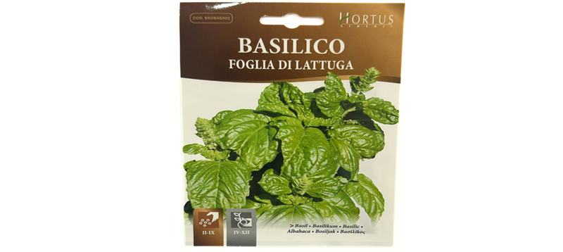 Basilico Foglio Di Lattuga Seeds