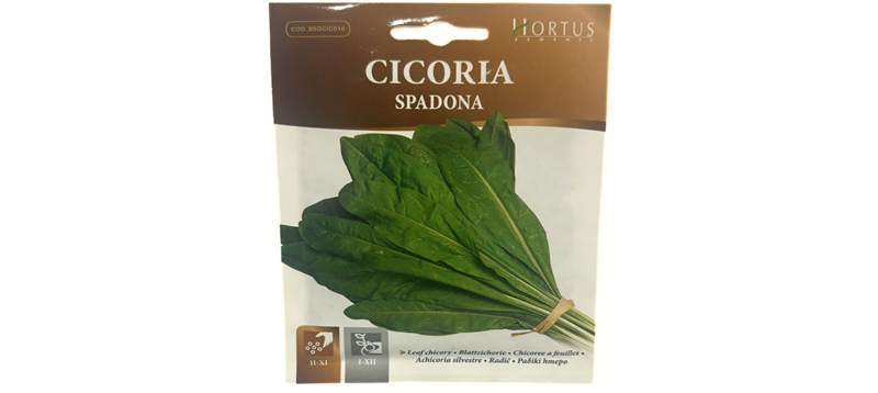 Cicora Spadona Seeds