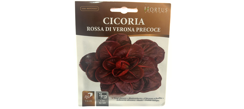 Cicoria Rossa Di Verona Precoce Seeds