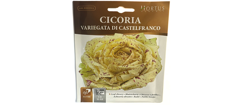 Cicoria Variegata Di Castelfranco Seeds