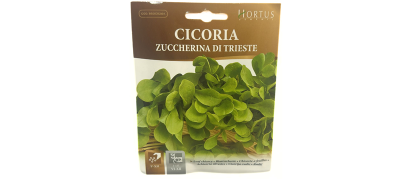 Cicoria Zuccherina Di Trieste Seeds