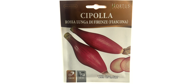 Cipolla Rossa Lunga Di Firenze Onion Seeds