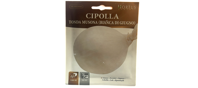 Cipolla Tonda Musona Onion Seeds