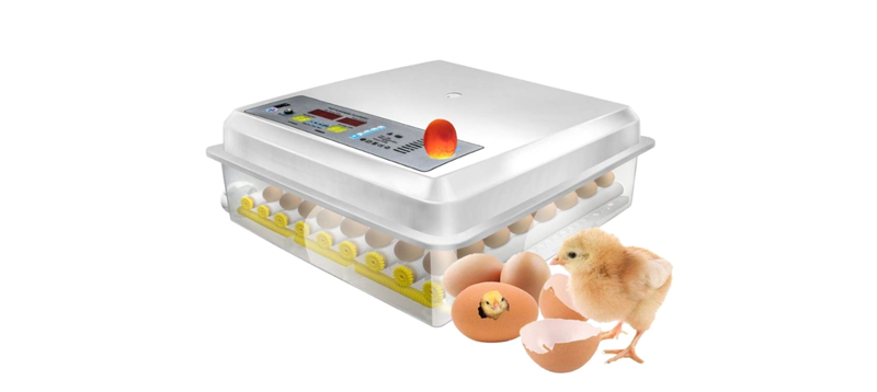 Automatic Incubators