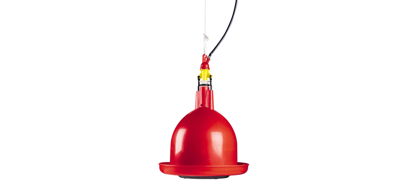 Automatic chicken waterer