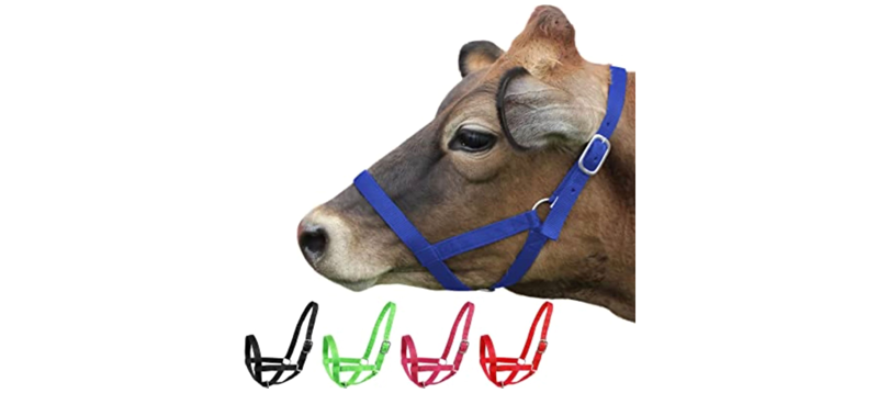 Cattle Halter