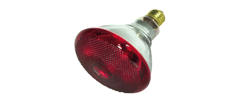 Chicken Heat Lamps