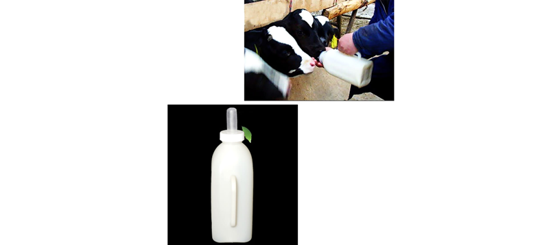 Feeding Bottles